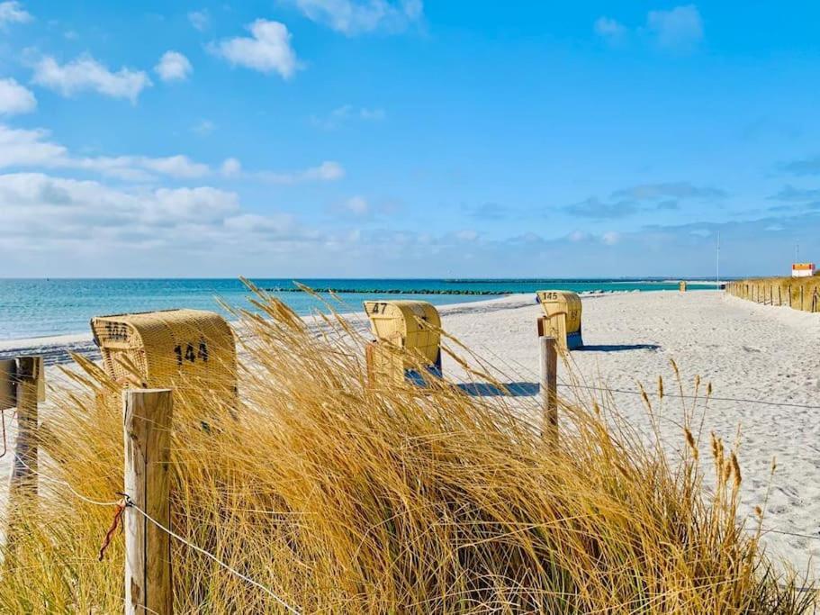 Neu - 49qm - Am Suedstrand